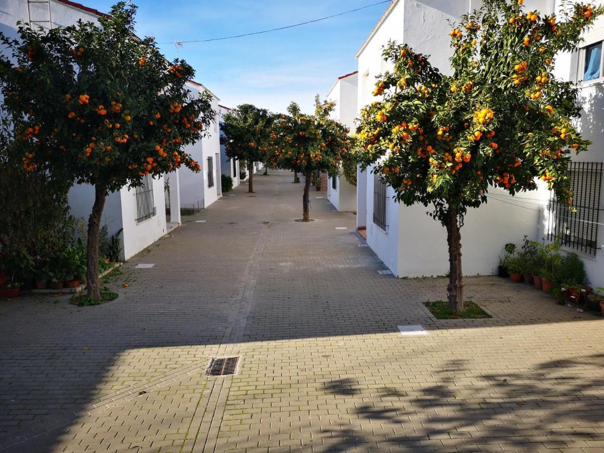 Hermoso Apartamento En Conil Кониль-де-ла-Фронтера Экстерьер фото
